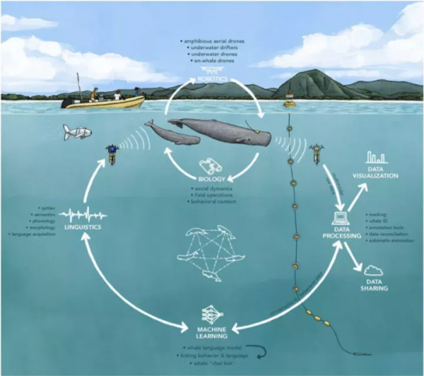 腦科學日報:慢性頸痛不僅傷身而且傷腦 腦科學日報:慢性頸痛不僅傷身而且傷腦