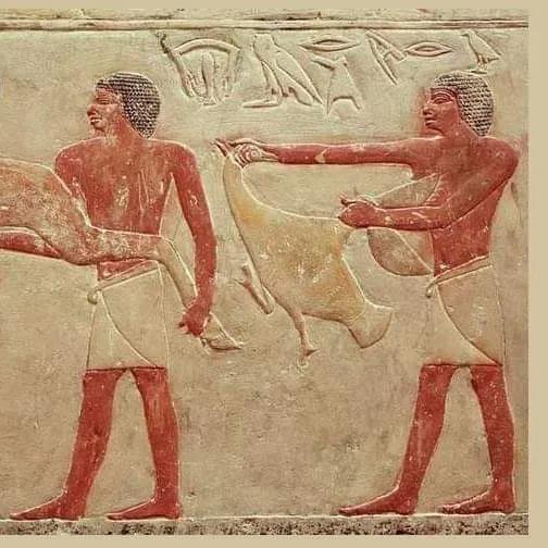 鴨子，身披落霞飛到尋常百姓家