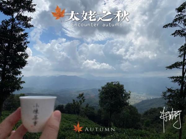 寒露節的第二天，村姑陳在生態茶園看了一晌高天上的流雲，美呆了