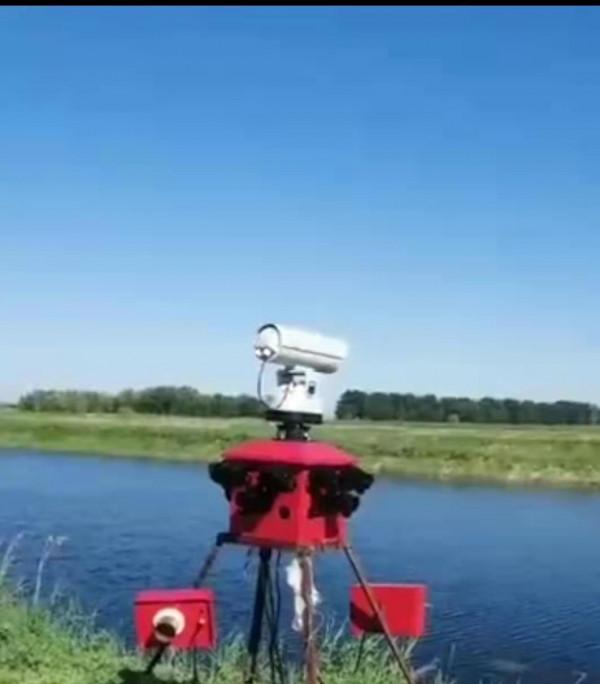 魚塘百萬元&OpenCurlyDoubleQuote;刀魚&rdquo;神秘消失，大哥養了個寂寞，偷吃客驅趕成難題