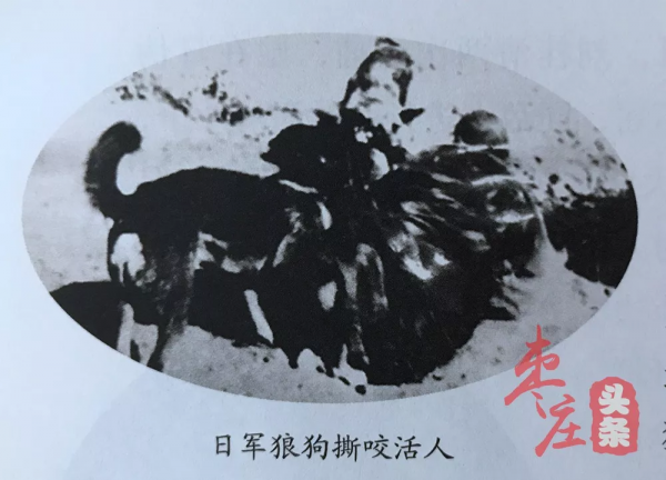 「尋訪鐵道游擊隊足跡」她們三人,都是芳林嫂!來看看小說中沒有講述的真實故事… 「尋訪鐵道游擊隊足跡」她們三人,都是芳林嫂!來看看小說中沒有講述的真實故事…