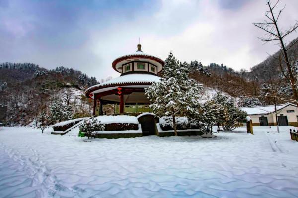 錯峰出遊，盡賞金絲峽冰雕玉琢雪景世界