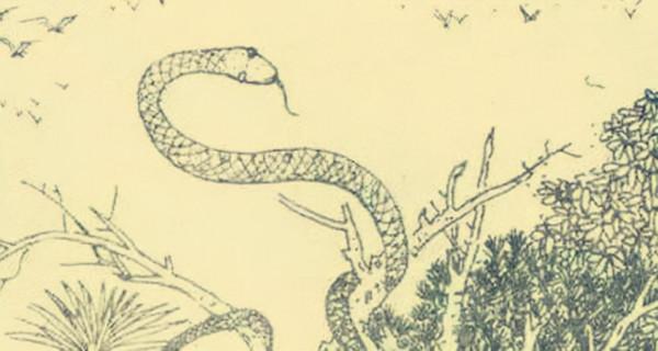 民間故事：獨眼寡婦獻夜明珠，被知縣抱進屋，寡婦嘆息：該結束了