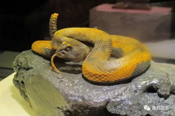 中國“天工獎”（2011）