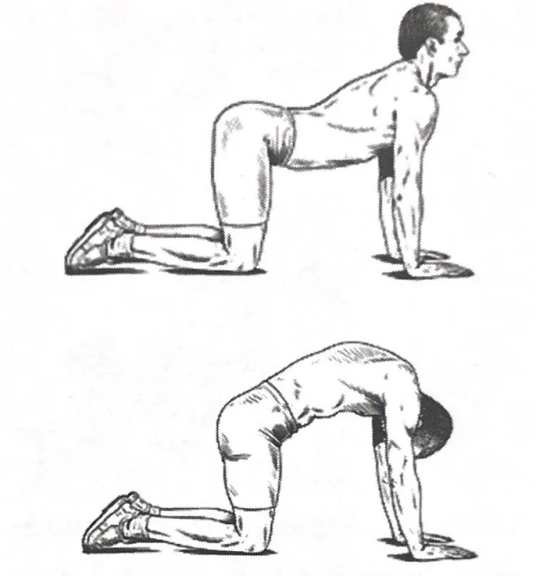 潤滑脊椎關節的重要動作