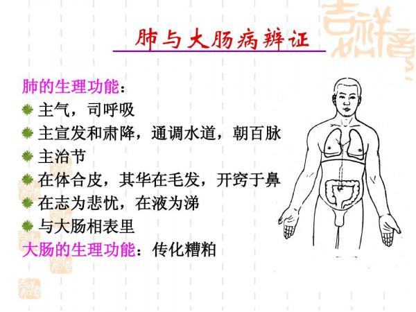 臟腑學說之五臟!可以不知道人是怎麼沒的,但要知道人是怎麼來的 臟腑學說之五臟!可以不知道人是怎麼沒的,但要知道人是怎麼來的