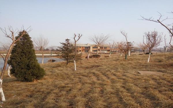 新年，很開心的一天