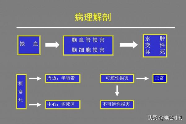 腦梗塞的分型分期治療「課件分享記得收藏」