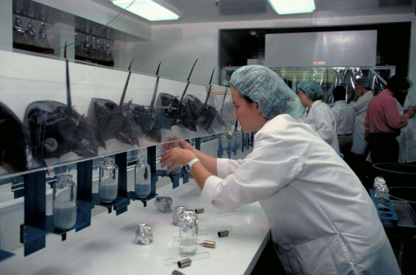 新冠疫苗必須經它檢測才能上市!可愛鱟鱟,守護人類健康 新冠疫苗必須經它檢測才能上市!可愛鱟鱟,守護人類健康