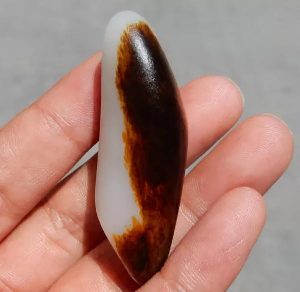 800多萬成交！這種“黑美人”絕對值得你收藏