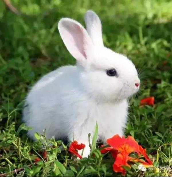 婦人發現女兒手背上竟然長有白色皮毛