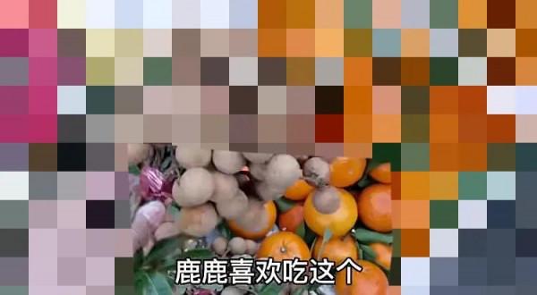 窮遊偽人之～淄博楊東村眼裡的渠縣土溪鎮，啥都不是隻是個蹭飯的