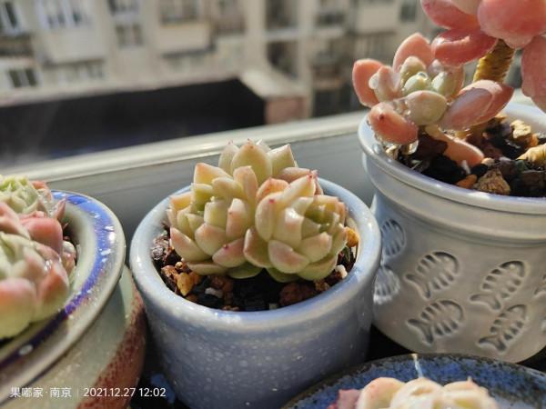 花園，美肉，怎可缺席