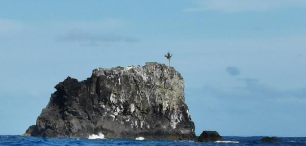 南太平洋皮特凱恩島遊記之三