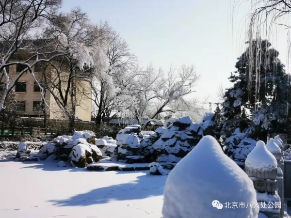 美翻了，北京這個地方開始造雪景啦
