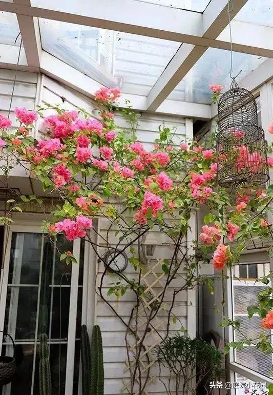 他賣掉城裡的房子，包了個山頭，打造集裝箱陽光房、小木屋、花園