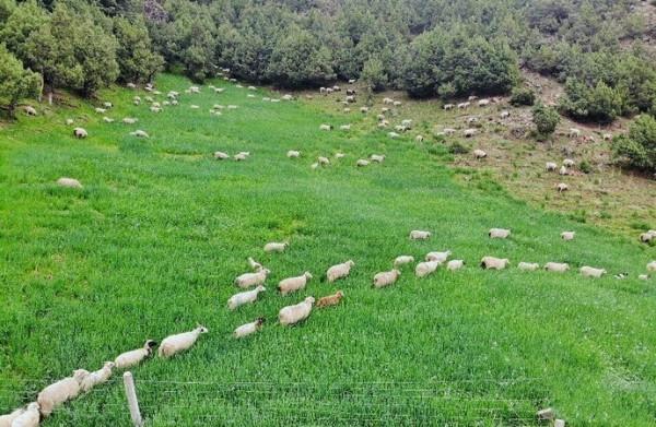 九大門票價格超貴的自然景觀,去過一次的人基本不會再去第二次 九大門票價格超貴的自然景觀,去過一次的人基本不會再去第二次