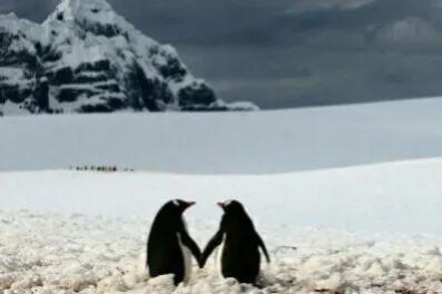 冬天雖冷,因為有你相擁而溫暖 冬天雖冷,因為有你相擁而溫暖