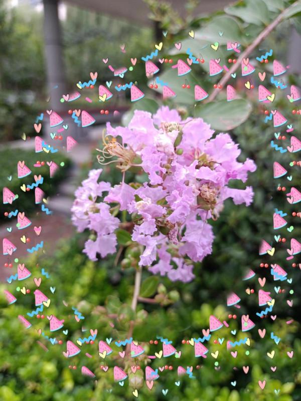 只要我們沒放棄，夢想雖然會遲到，但不會缺席