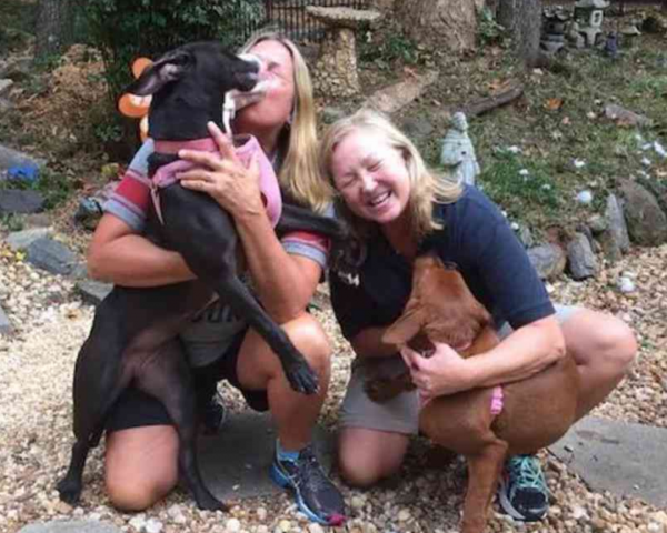 兩隻狗狗，被執行安樂死前，緊緊抱在一起，這一抱，徹底改變了命運