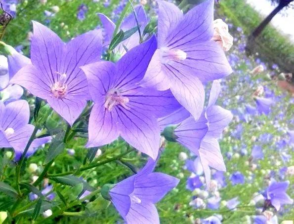 《老人言》總結出的精典