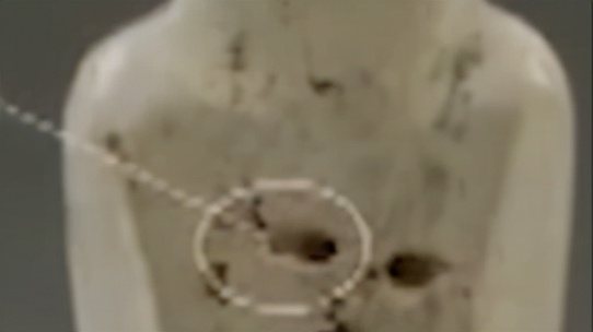 1985年小村莊挖出大型墓葬群，陪葬品價值連城，距今已經5300多年