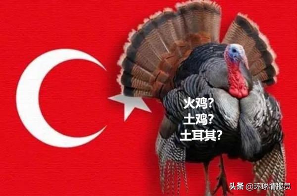 再見&OpenCurlyDoubleQuote;土雞&rdquo;！土耳其，為什麼想把英文名從Turkey改為Turkiye？