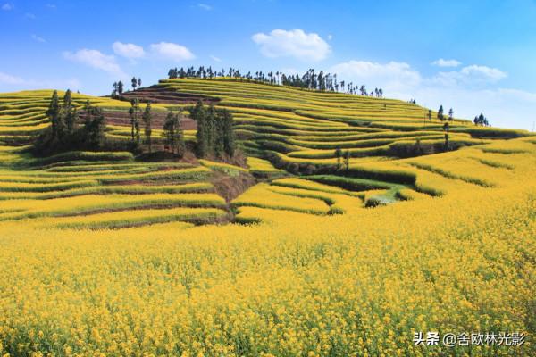 羅平馬街，一個把田地種成了風景畫的地方，山區賞花正當時哦