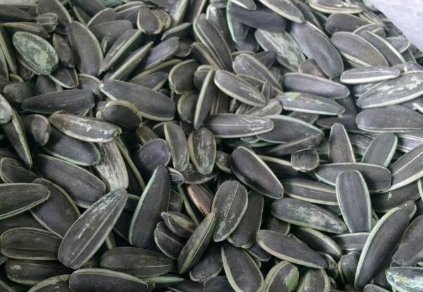 生活中,這些東西不能吃,有劇毒 生活中,這些東西不能吃,有劇毒