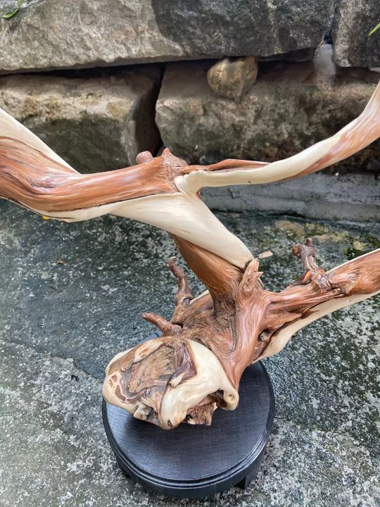 爛樹根？不對，這枝丫盤亙如降龍的崖柏木雕，分明是藝術品啊