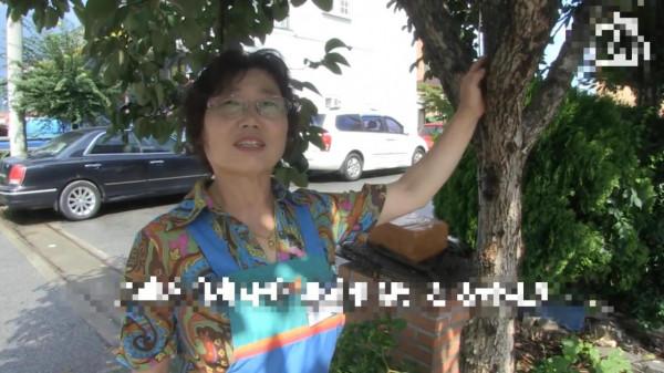 女人意外獲得一棵搖錢樹,每天都會獲得50元硬幣,但女人並不開心 女人意外獲得一棵搖錢樹,每天都會獲得50元硬幣,但女人並不開心