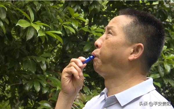 國家一級保護動物！全球只有1900多隻的野生黑葉猴，在貴州這裡就有1200多隻！