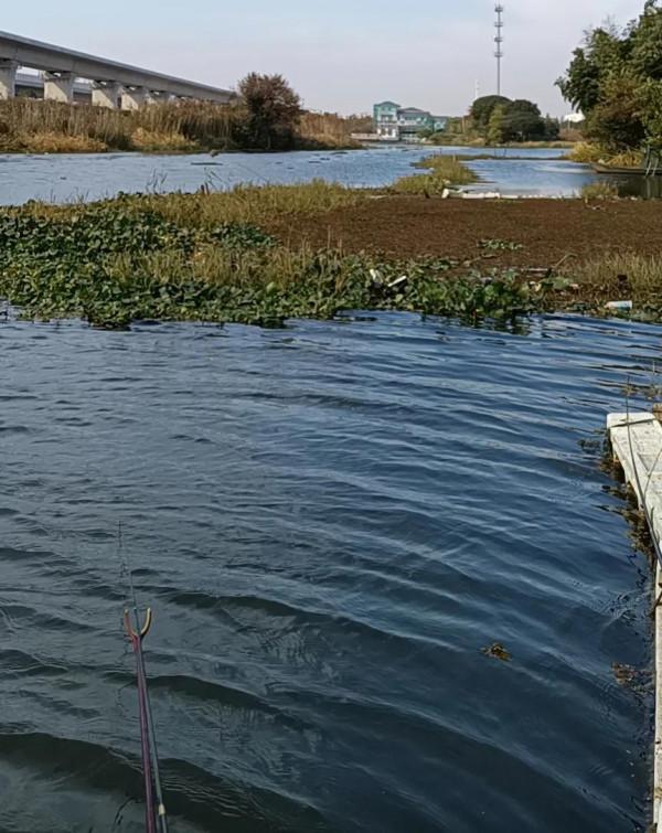 《2022元旦釣魚記》狂拉鯽魚17斤，絕密稍後公佈