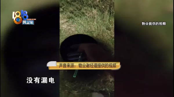 法鬥犬疑似被小區燈柱電傷，物業回應：沒有漏電