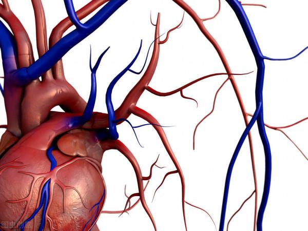 醫生科普,心力衰竭的基礎藥物治療:利尿藥 醫生科普,心力衰竭的基礎藥物治療:利尿藥