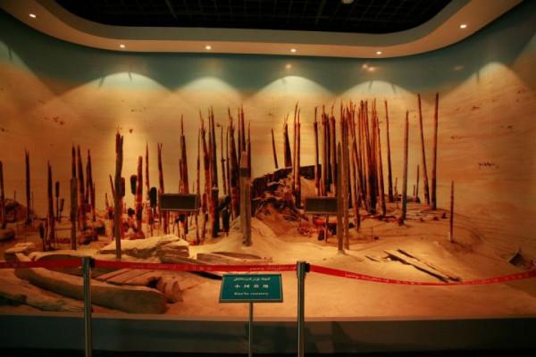 你想要來的新疆2022年是這樣的