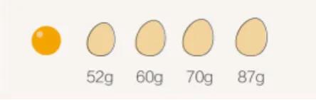 女明星親身經歷告訴你，節食減肥是什麼後果？