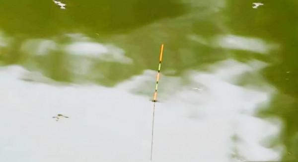 為什麼不建議新手買長竿,不是因為貴,而是這幾個原因 為什麼不建議新手買長竿,不是因為貴,而是這幾個原因