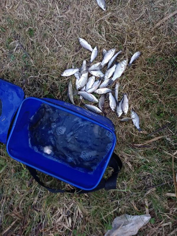 給愛好釣魚一個簡易掛件