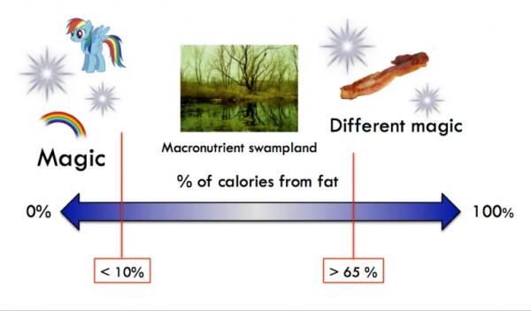 只吃大米和白糖，瘦了100多斤？關於&OpenCurlyDoubleQuote;碳化症&rdquo;的一些思考