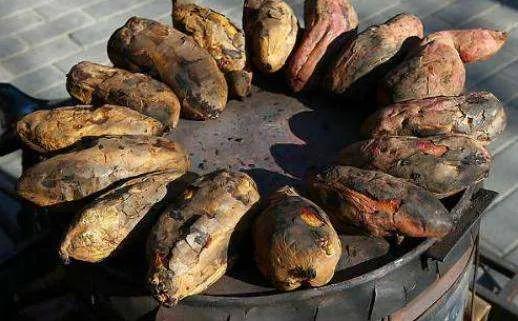 農村人除了打工以外，還可以做什麼好專案？這裡有答案