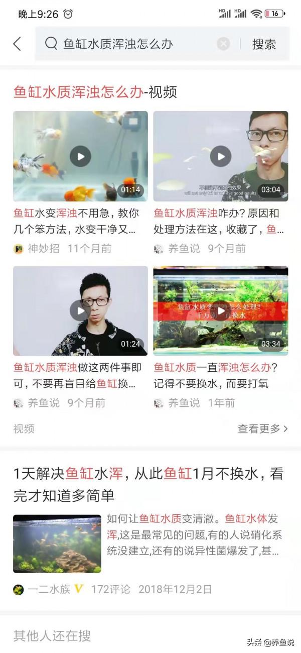 魚缸黃水綠水水質渾濁如何處理?養魚各水質形成原因及解決辦法 魚缸黃水綠水水質渾濁如何處理?養魚各水質形成原因及解決辦法