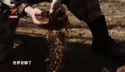 英雄離去，功勳軍犬患癌即將離世，鐵骨軍人懷抱愛犬痛哭流淚