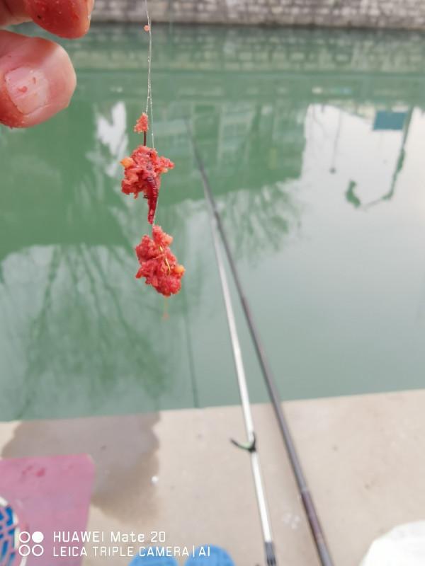 與小雜魚鬥智鬥勇,拼比毅力和耐性 與小雜魚鬥智鬥勇,拼比毅力和耐性