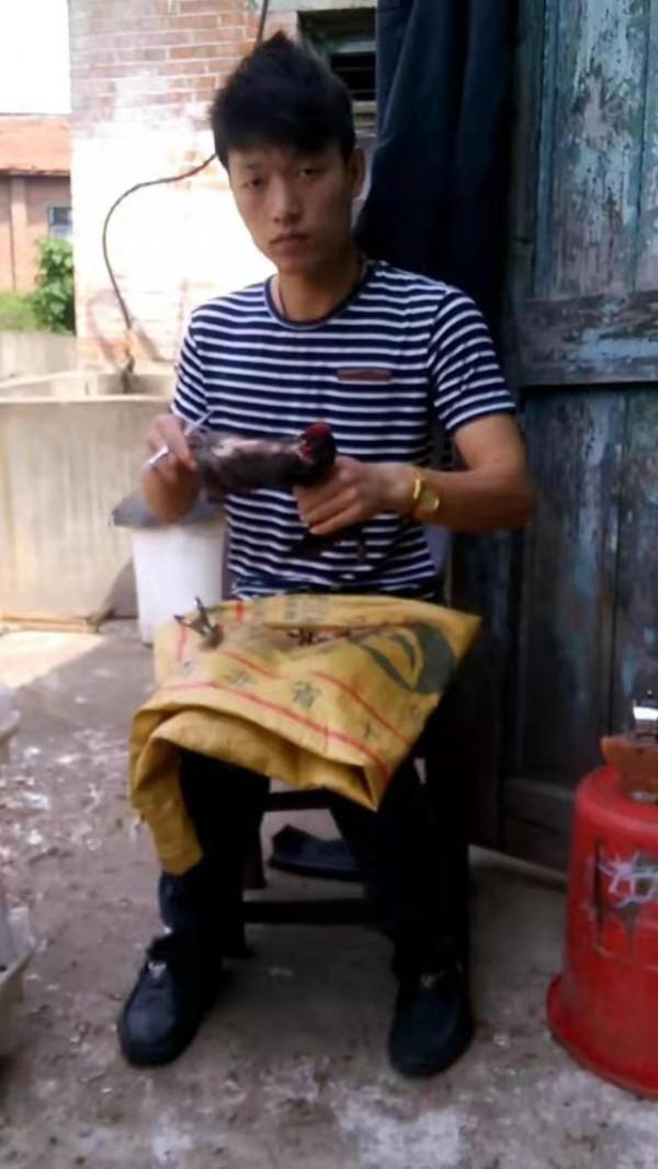 在農村為什麼大家都不敢買閹雞？卻請人閹雞