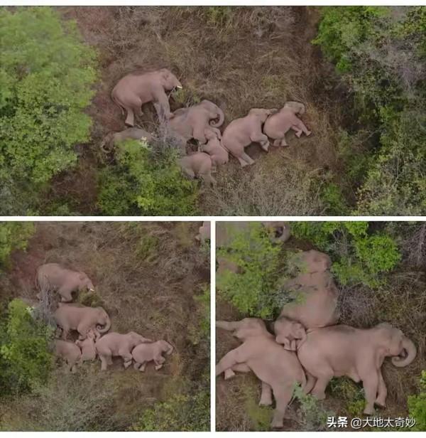 幾十張罕見照片，你見過幾張？