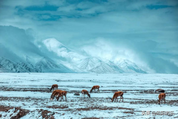 國內一生必打卡的20個地方，排名不分先後，你去過幾個？