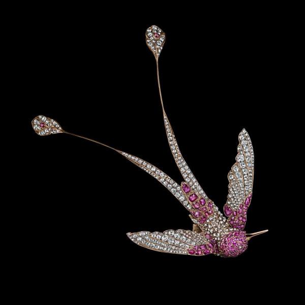 頂級珠寶欣賞-寵物世界 頂級珠寶欣賞-寵物世界