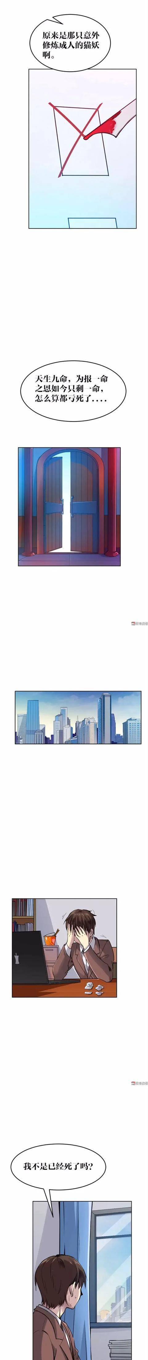 漫畫｜人性篇：會做飯的網紅貓咪