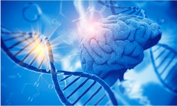 變異“肌肉”豬:人類透過基因改造,製造出來的怪物,你敢吃嗎 變異“肌肉”豬:人類透過基因改造,製造出來的怪物,你敢吃嗎